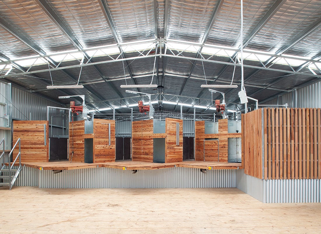 South Gippsland shearing shed with yard cover