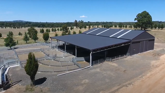 Bolobek farm shearing shed_AG