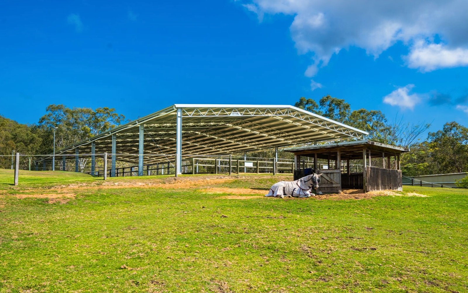 61m x 24m roof-only indoor dressage arena in Advancetown Queensland designed for year-round riding in a warm climate.
