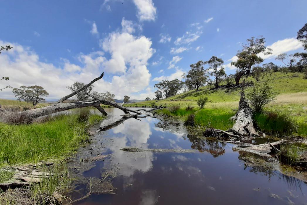 Revolutionising the typical Australian farm dam