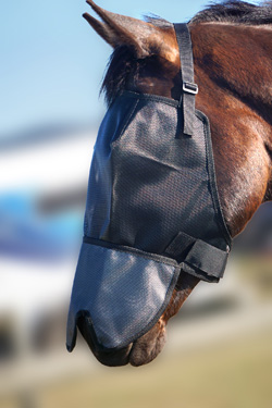Horse fly veils
