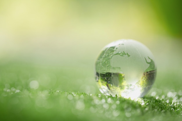 Close up of crystal globe resting on grass in a forest Free Photo