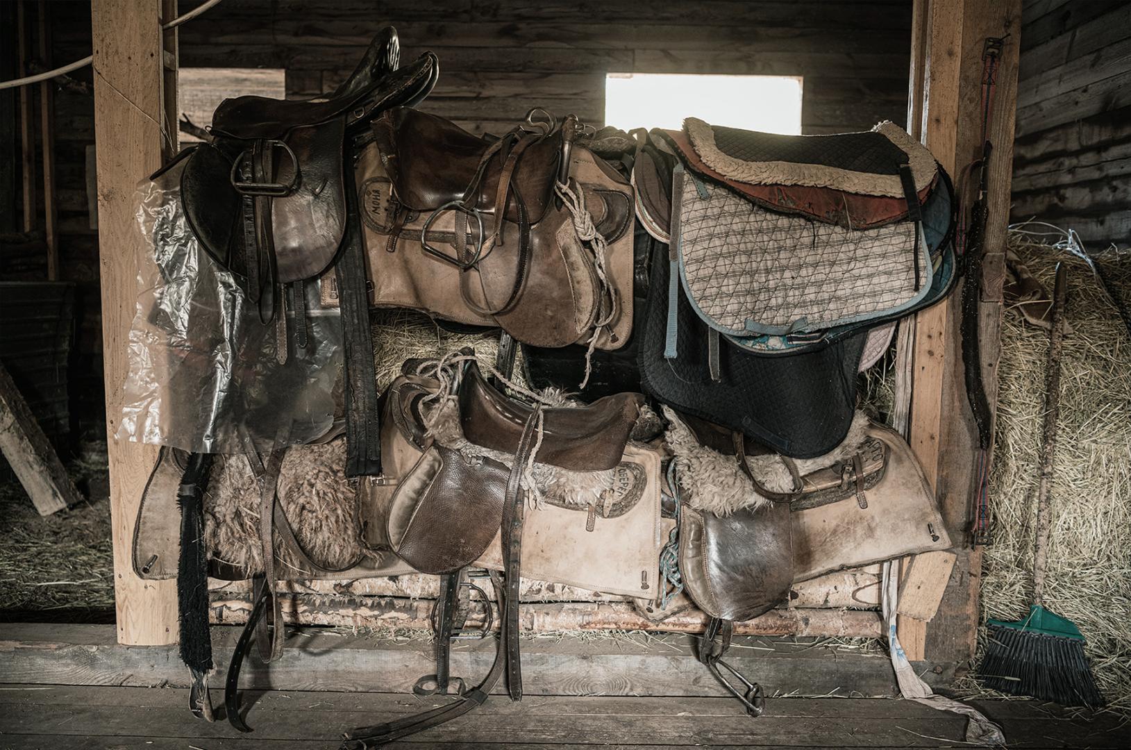 20 things no horse owner should have in their stables