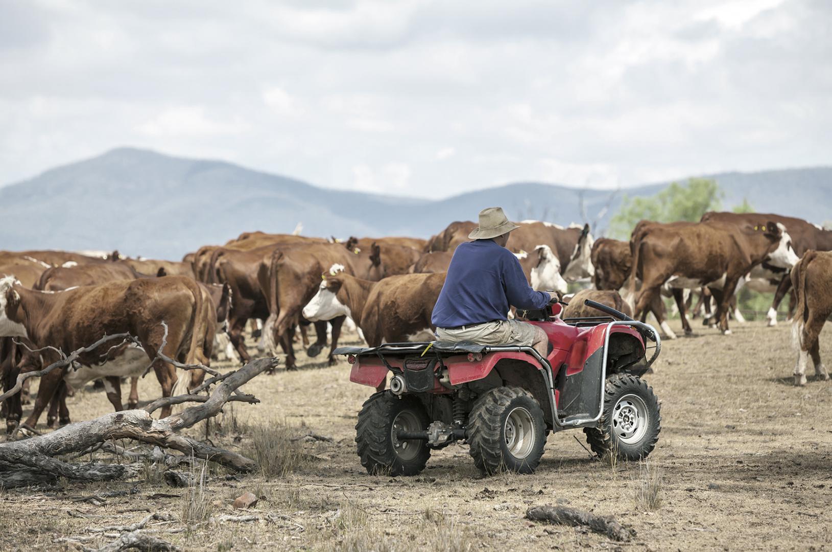 Agribusiness thrives through COVID recession