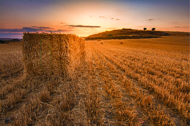 Avoid damage on hay sheds