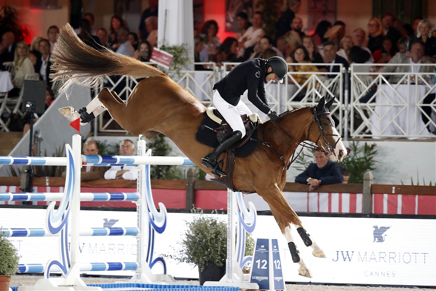 Horse jumping image