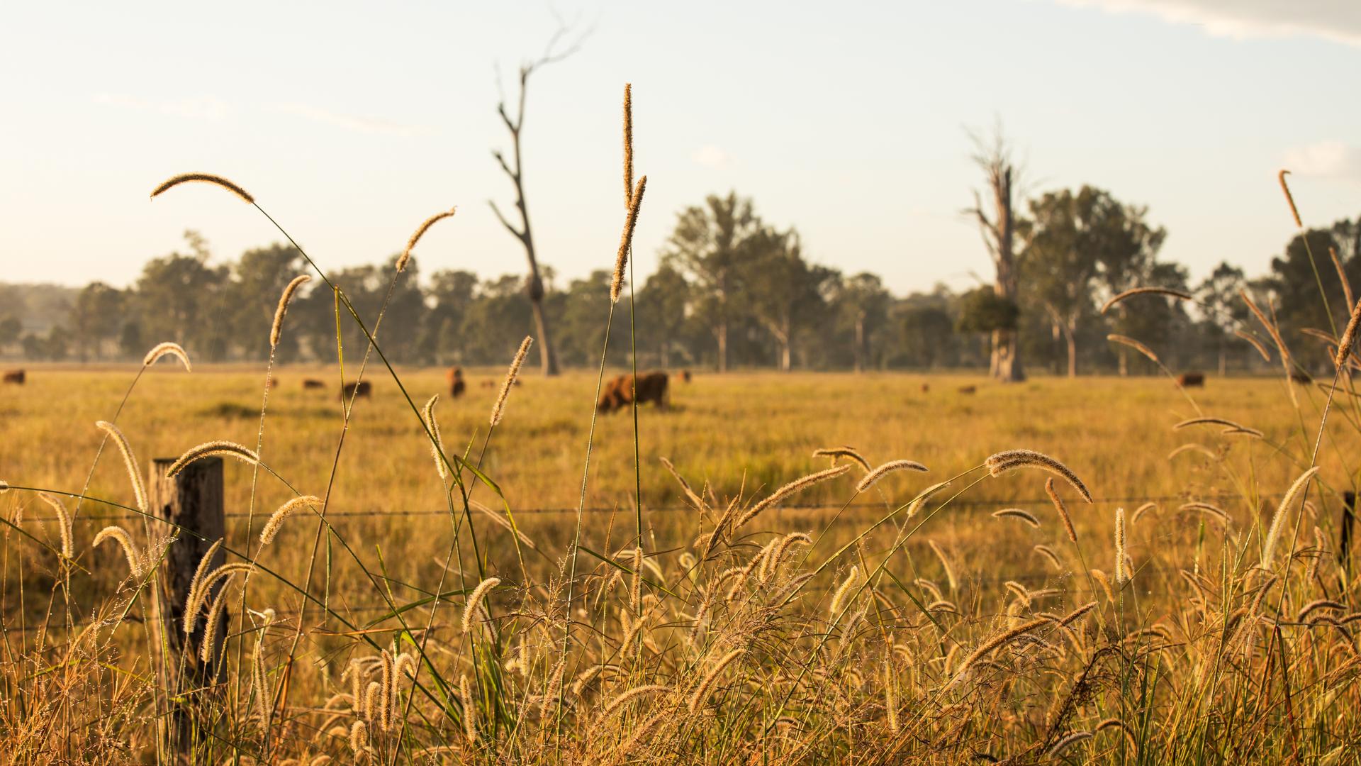 Drought Support for Agricultural Communities