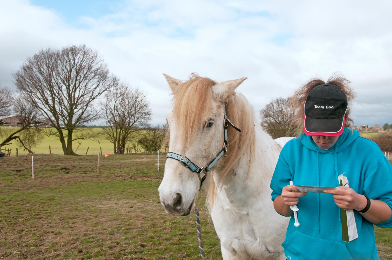 Worming horses