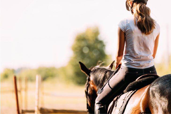 Horse and owner hot weather riding tips