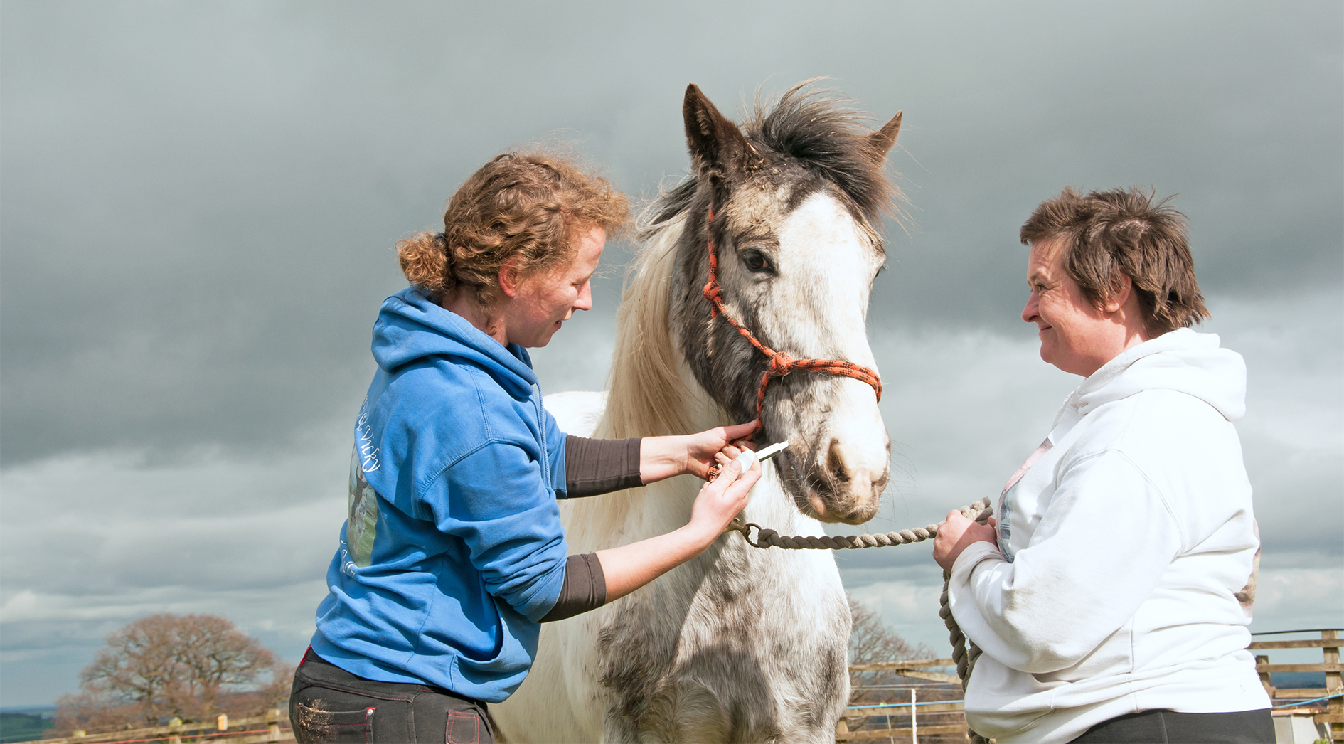 It’s Autumn, time to worm your horses