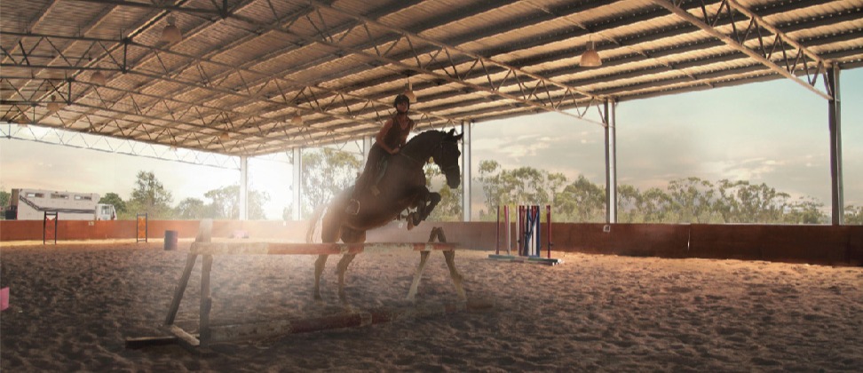 Laurel Views indoor jumping arena Laurel Views indoor jumping arena