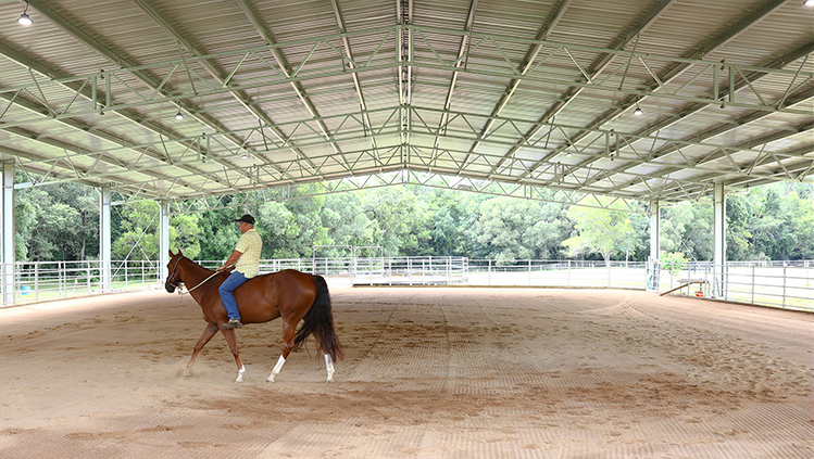 Ozwest Saddlery equestrian indoor arena