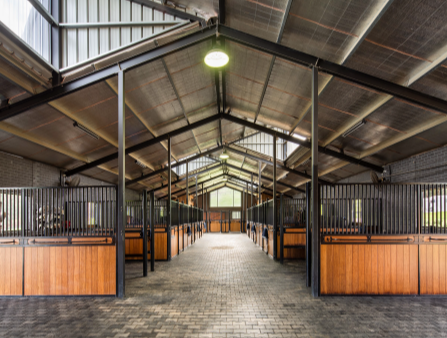 Springside Warmbloods indoor arena and horse stables